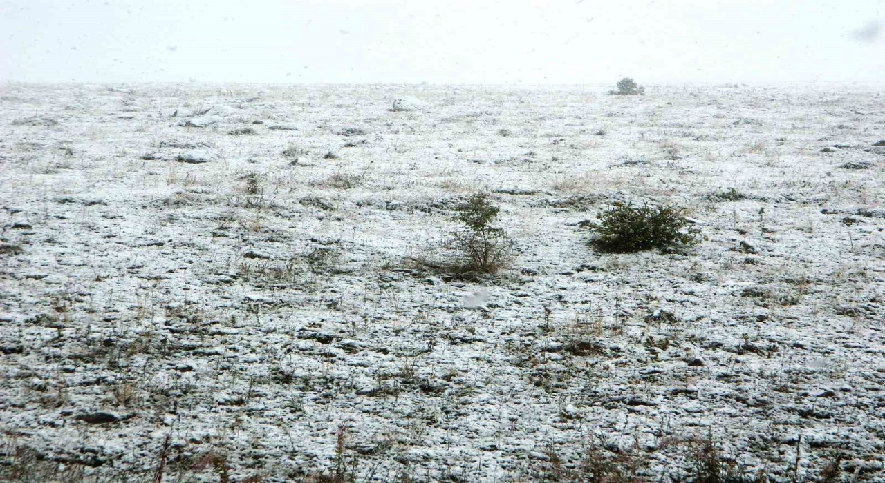 Posofta kar yağışı