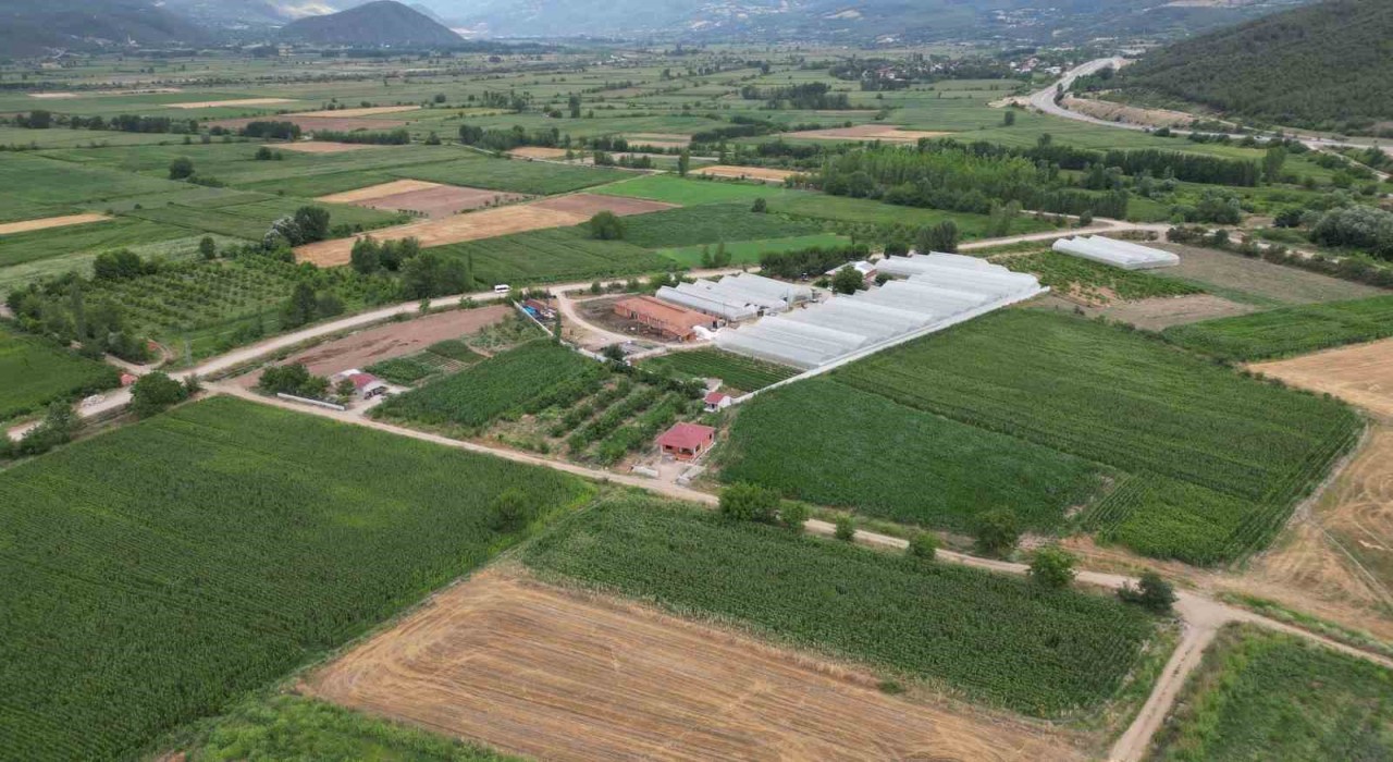 Prof. Dr. Gerçekçioğlu: Kış bahar oldu; dona dayanan meyve türleri araştırılmalı