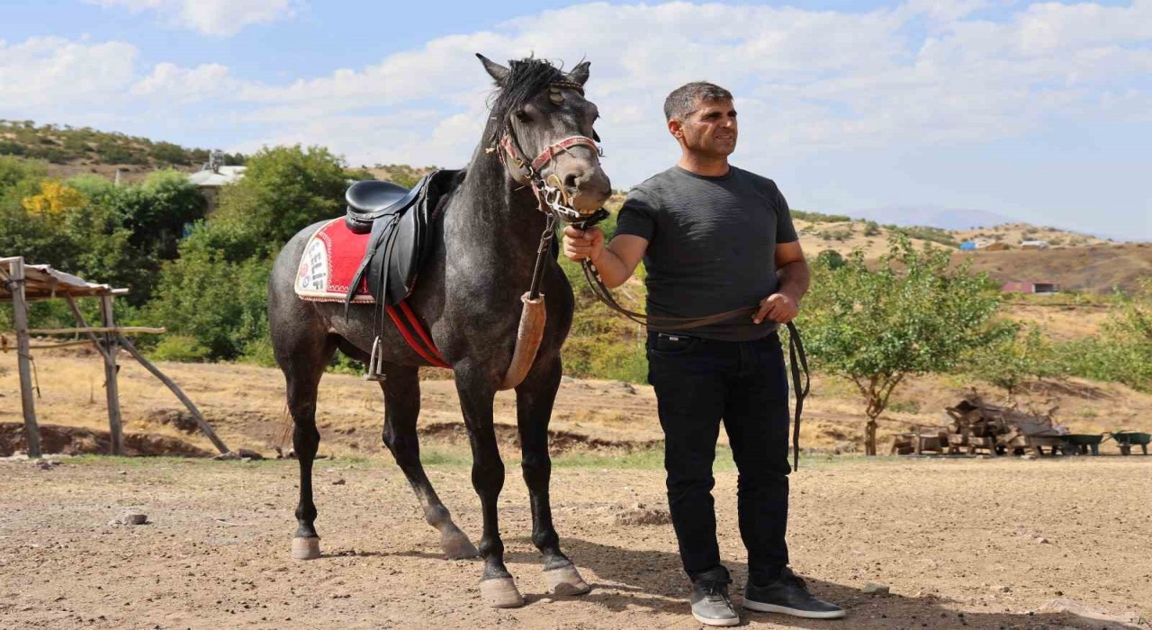 Rahvan atların yolculuğu: Orta Asyadan Osmanlıya, bugün Paluda