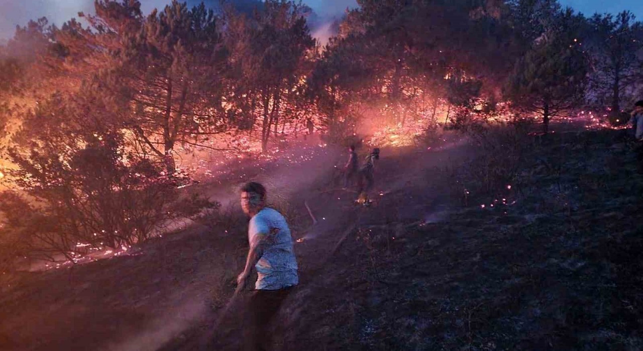 Sakaryada makilik alanda çıkan yangın söndürüldü