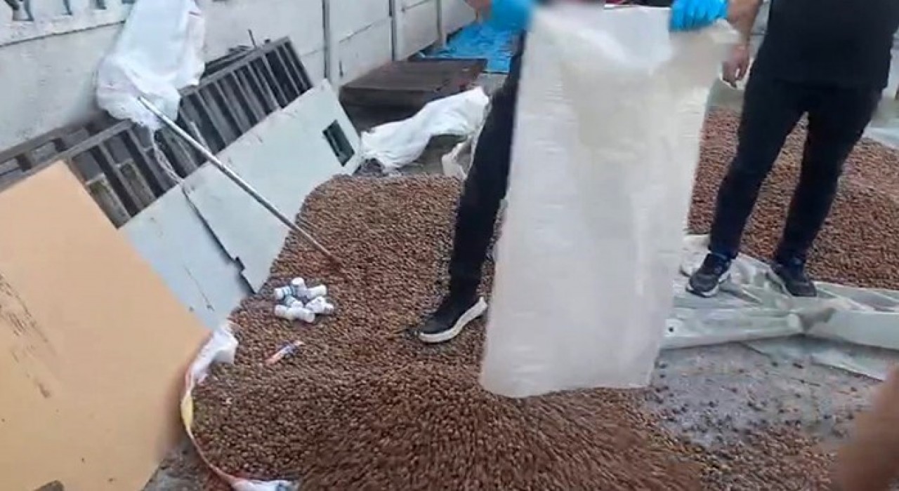 Sakaryada uyuşturucu zulası fındık çuvalından çıktı