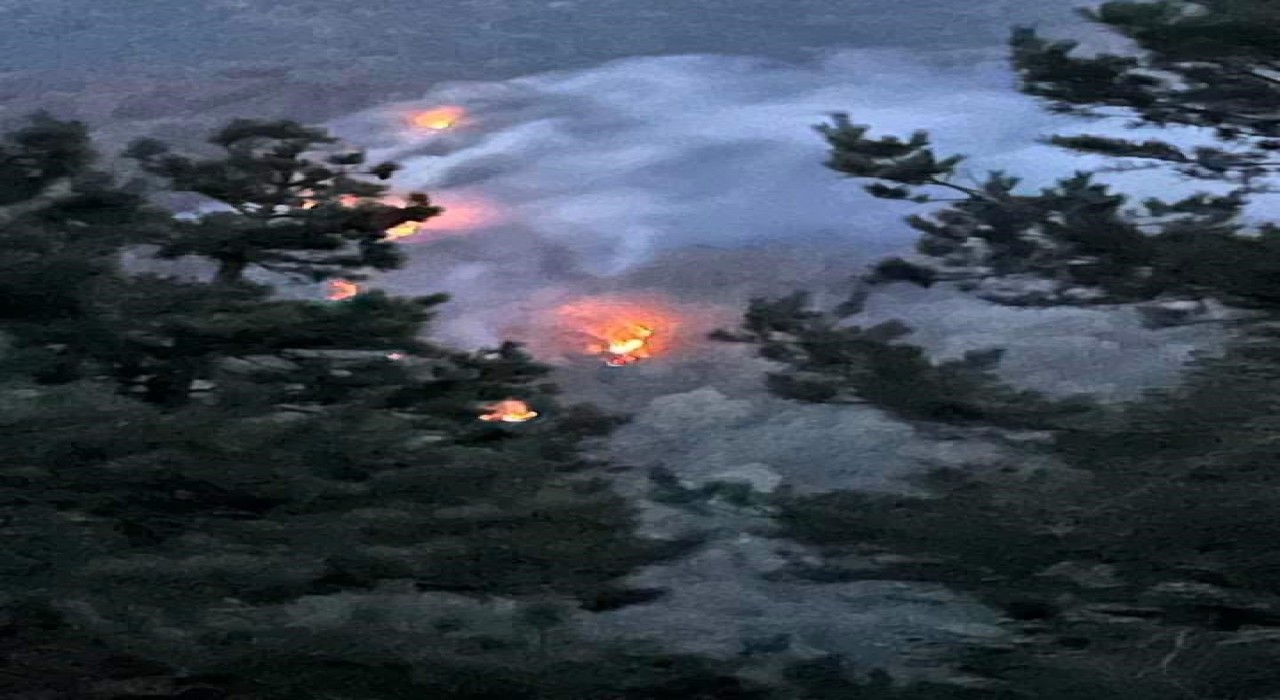 Sakaryadaki orman yangını kontrol altına alındı