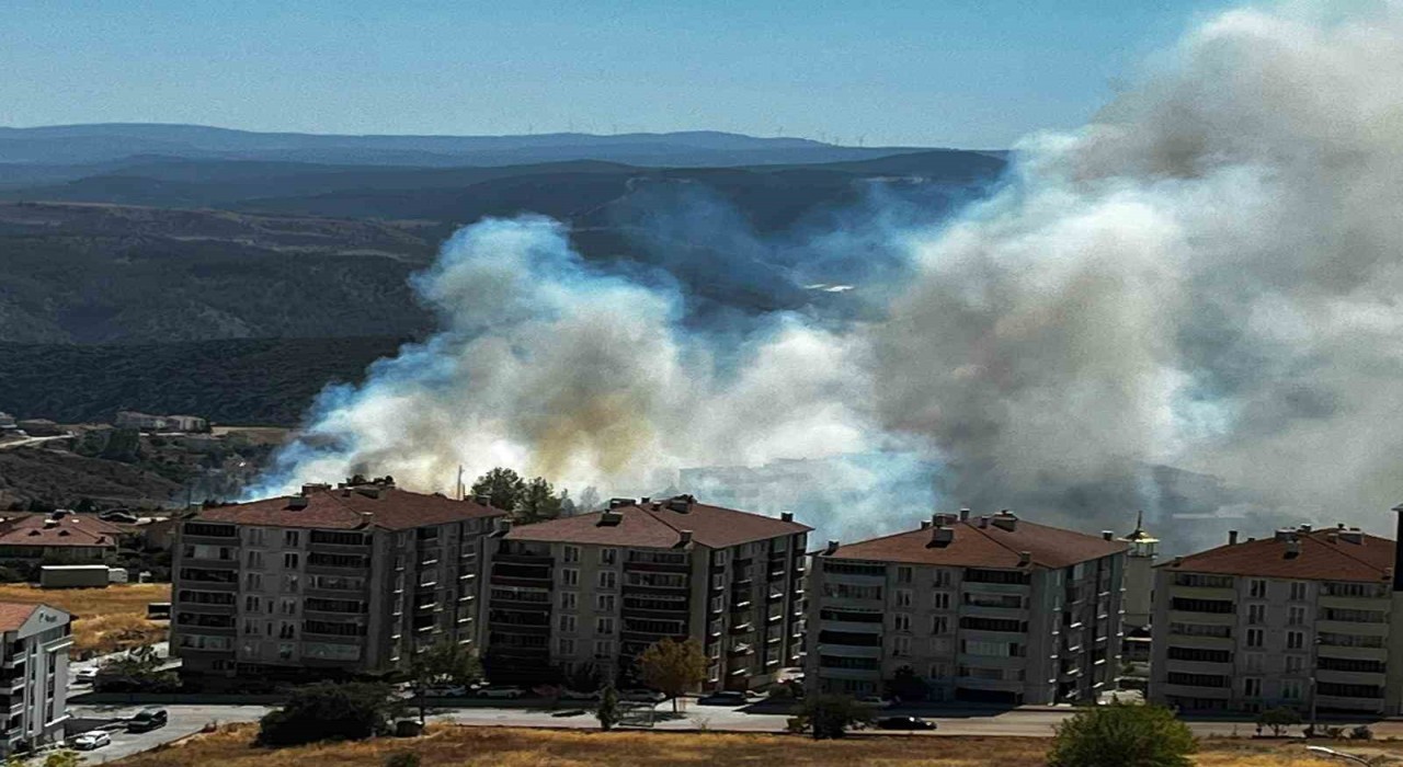 Salça yaparken çıkan kıvılcımla 30 dönüm makilik alanı kül oldu