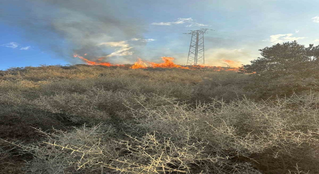 Samandağda arazi yangını