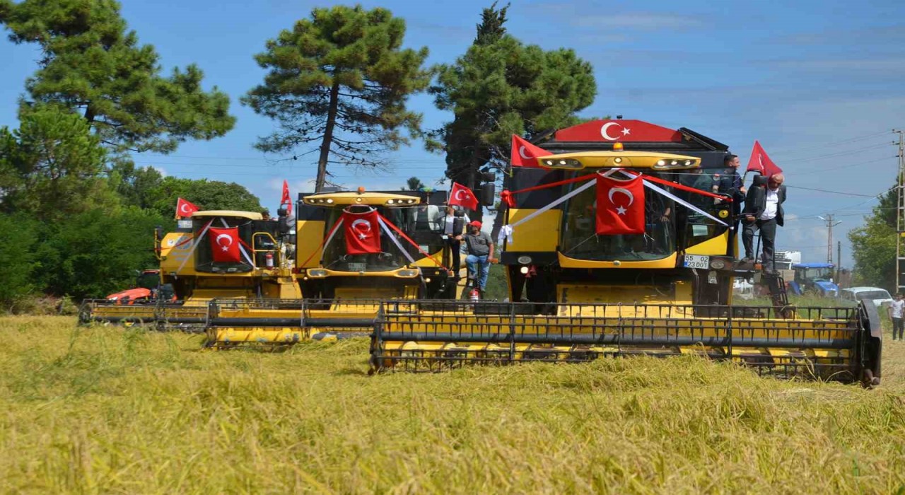 Samsunda 1. Çeltik Hasat Günü