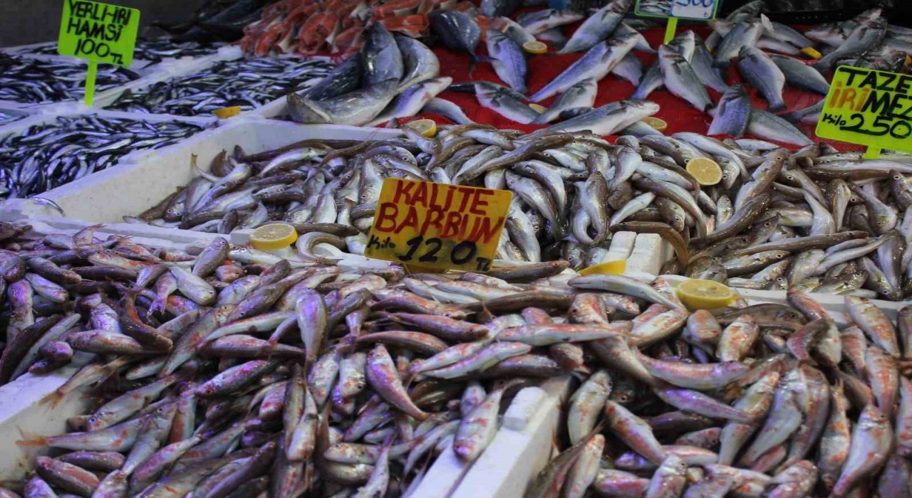 Samsunda hamsi bolluğu fiyatları düşürdü: Fakirin eti oldu