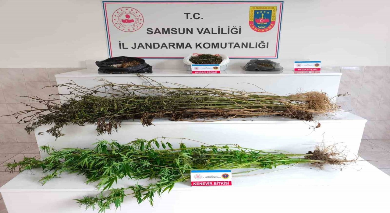 Samsunda jandarma 2 kilo 355 gram esrar ele geçirdi: 2 gözaltı