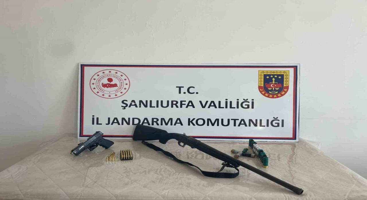 Şanlıurfada 4 ilçede eş zamanlı operasyon: Çok sayıda silah ele geçirildi