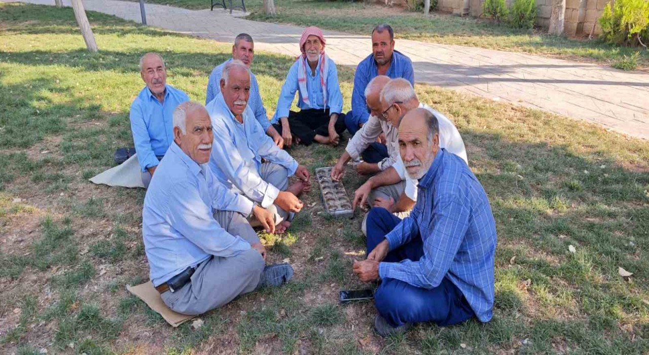 Şanlıurfada binlerce yıllık zeka oyunu