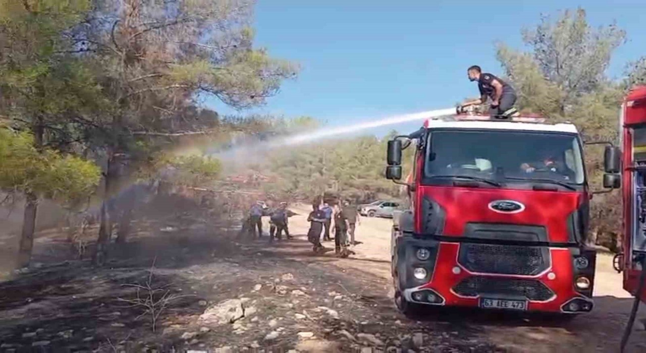 Şanlıurfada orman yangını