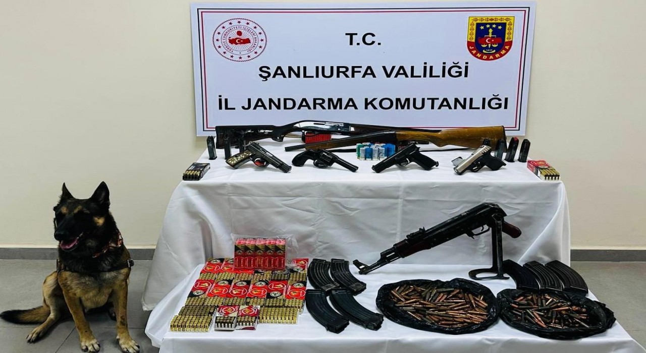Şanlıurfada ruhsatsız silah operasyonu