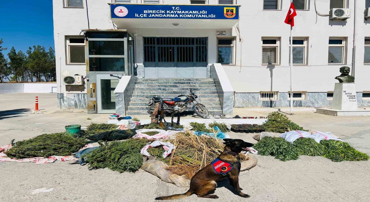 Şanlıurfada uyuşturucu operasyonu: 3 gözaltı