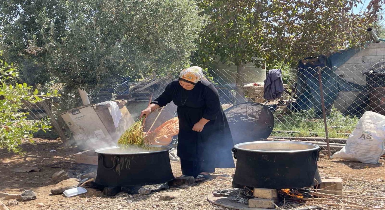 Şanlıurfada üzümün pekmez yolculuğu başladı
