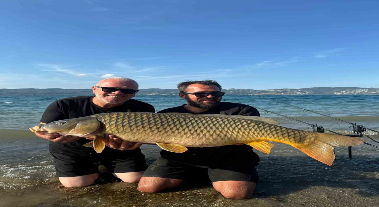 Sapanca Gölünde 18 kiloluk dev sazan: O anlar kamerada