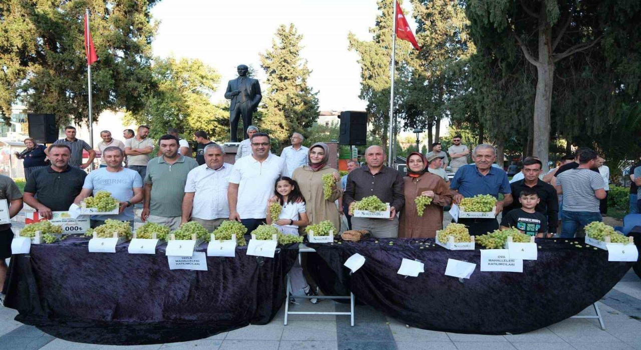 Sarıgölde Sultani üzüm yarışması