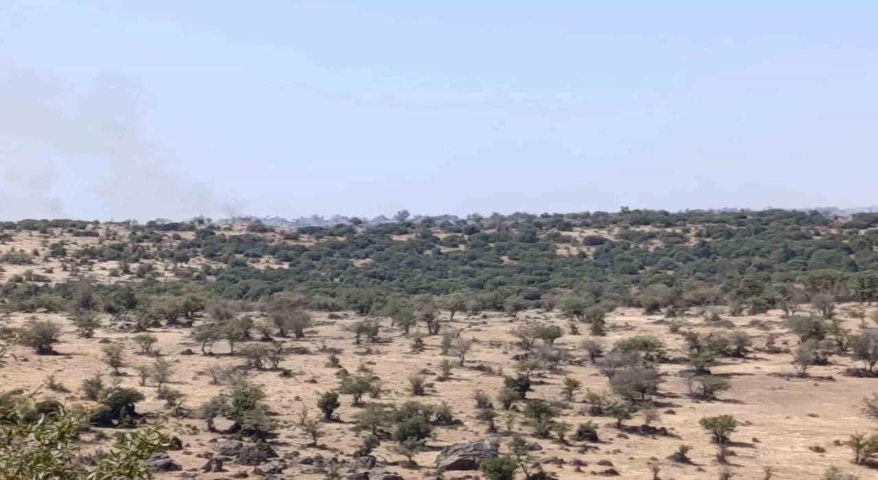 Selendide makilik alanda çıkan yangın söndürüldü