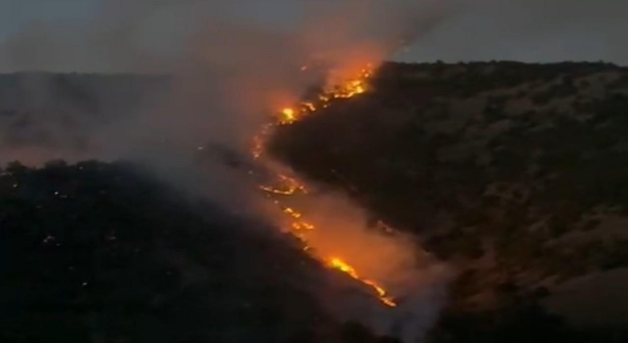 Şemdinlide ormanlık alanda korkutan yangın