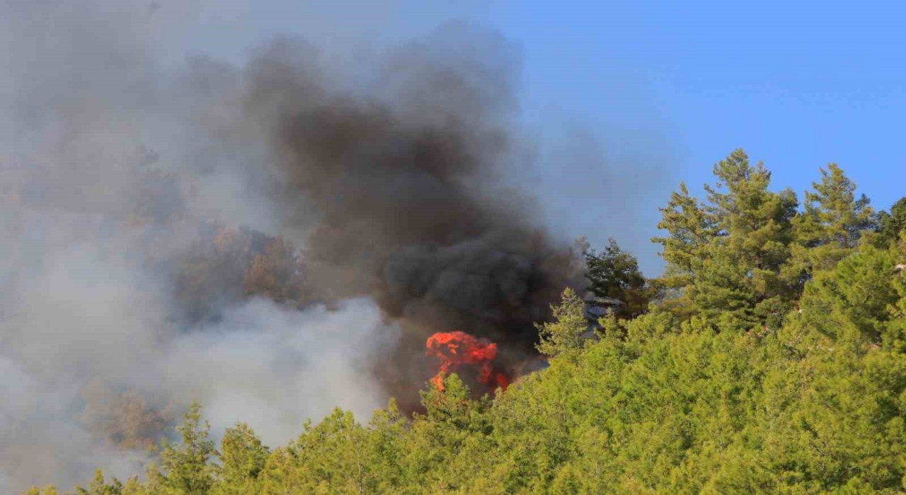 Serikte orman yangınının enerjisi düşürüldü