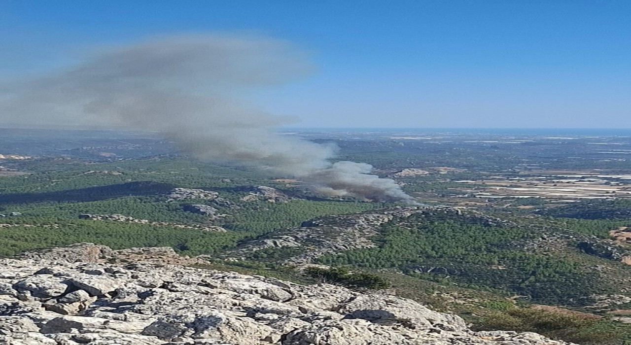 Serikte ormanlık alanda yangın