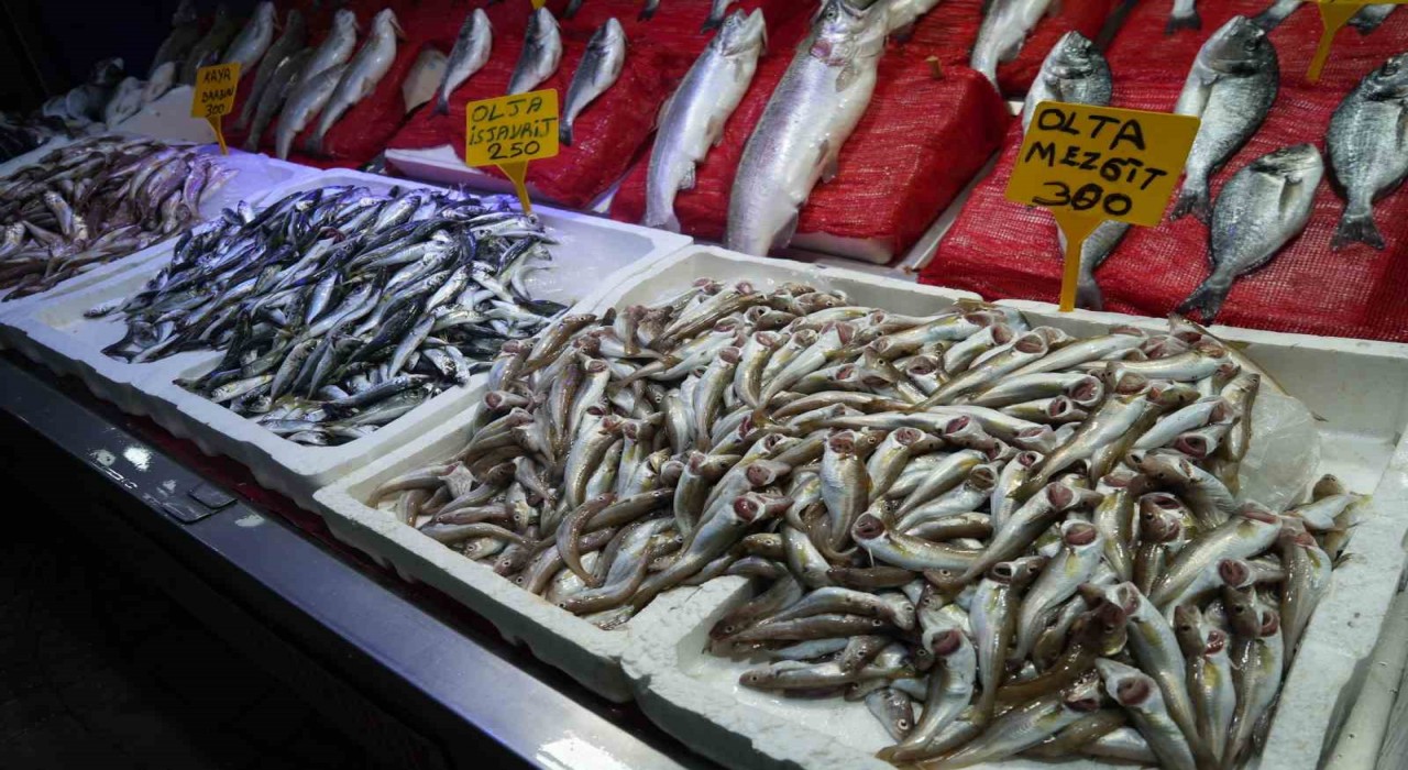 Sezonun ilk balıkları tezgahlarda