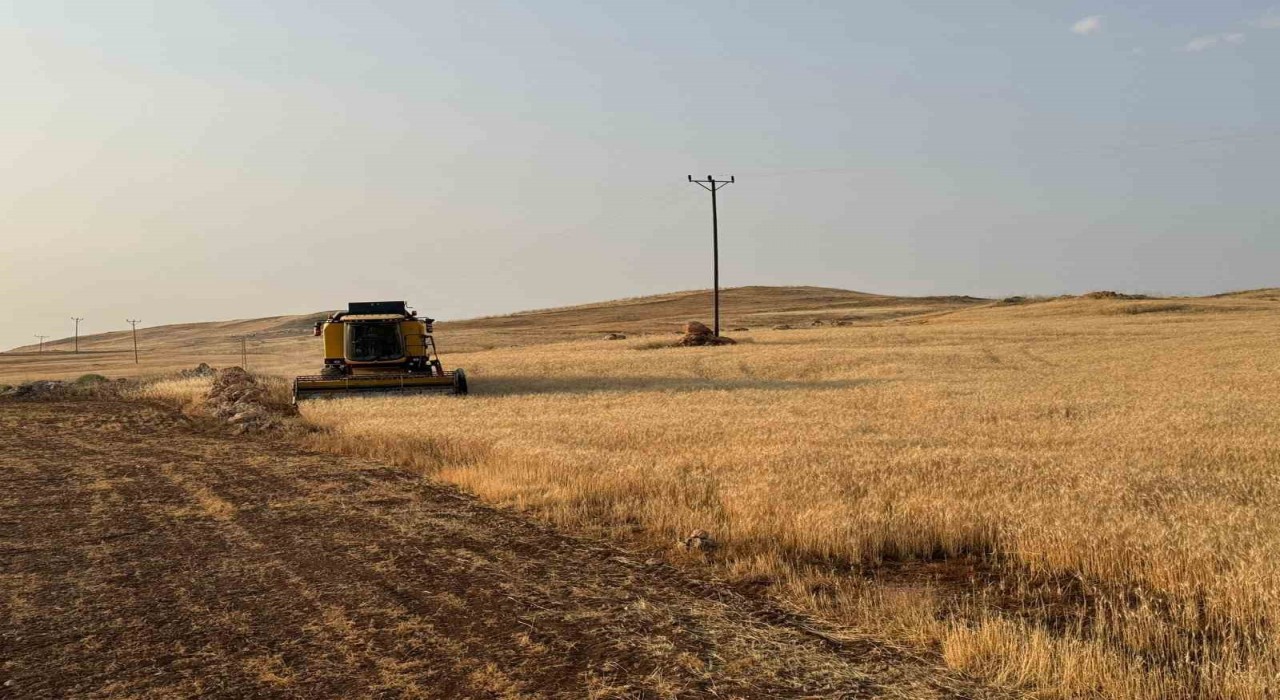 Siirtte 2026 yılı ÇKS başvuruları başladı