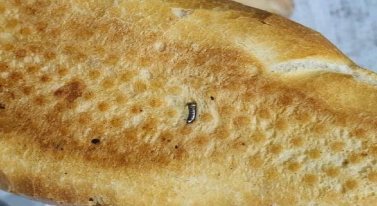 Siirtte ekmekten çivi çıktı