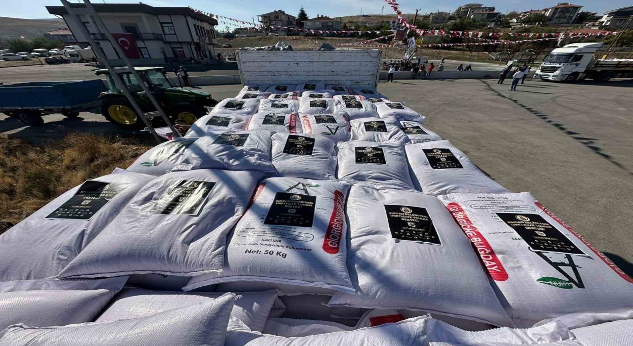 Sincan Belediyesinden çiftçilere buğday tohumu desteği