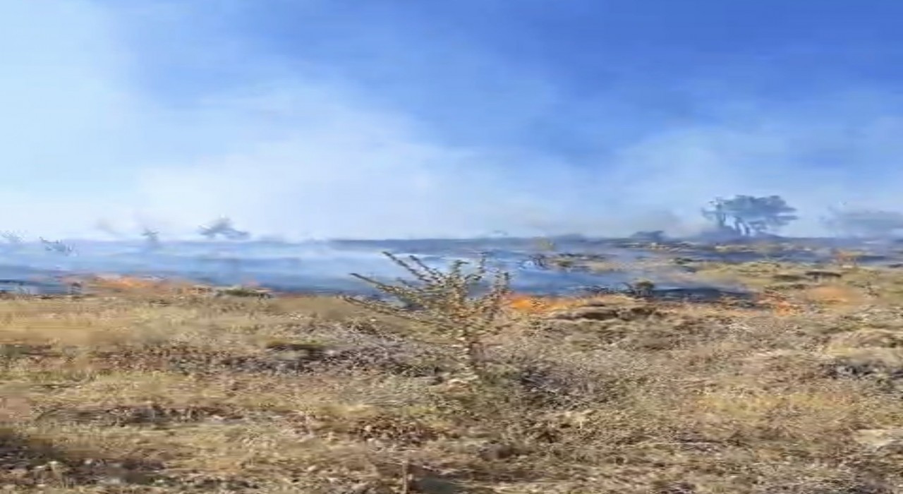 Sincik ilçesinde korkutan orman yangını