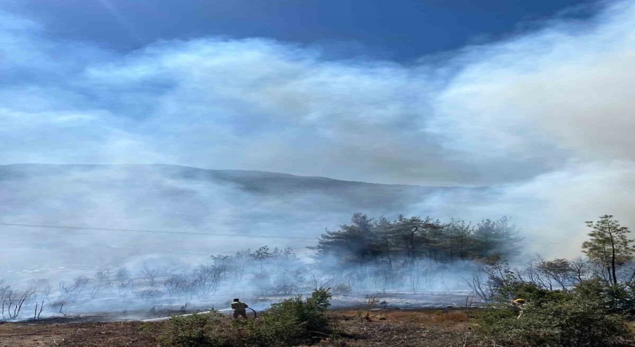 Sındırgıda orman yangını