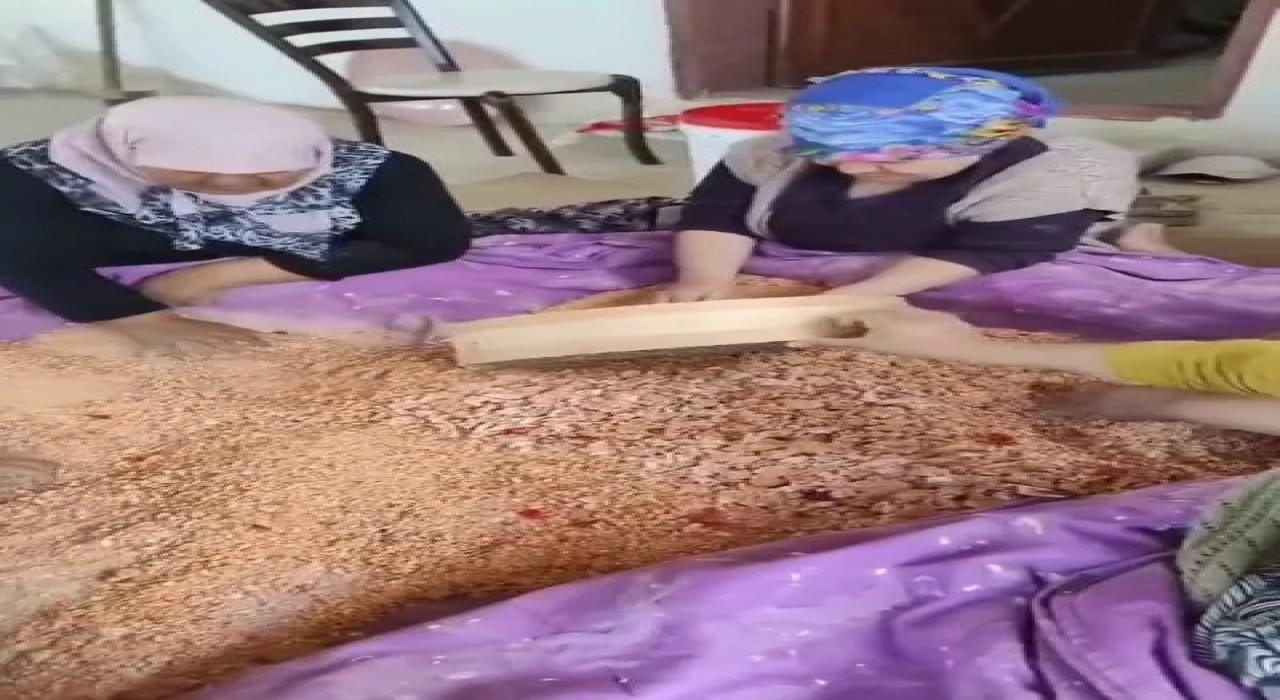 Sinopta kadınlar imece usulü tarhana yapımına başladı