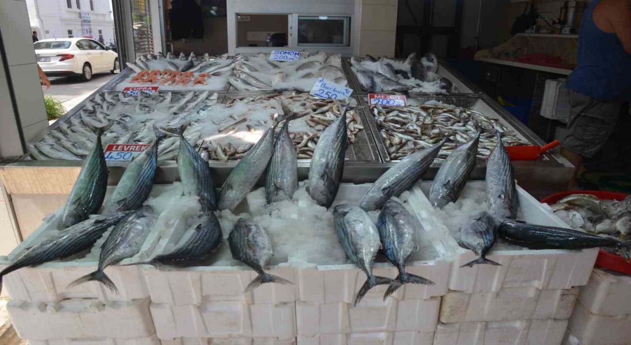 Sinopta torik bolluğu: Tanesi 800 TL