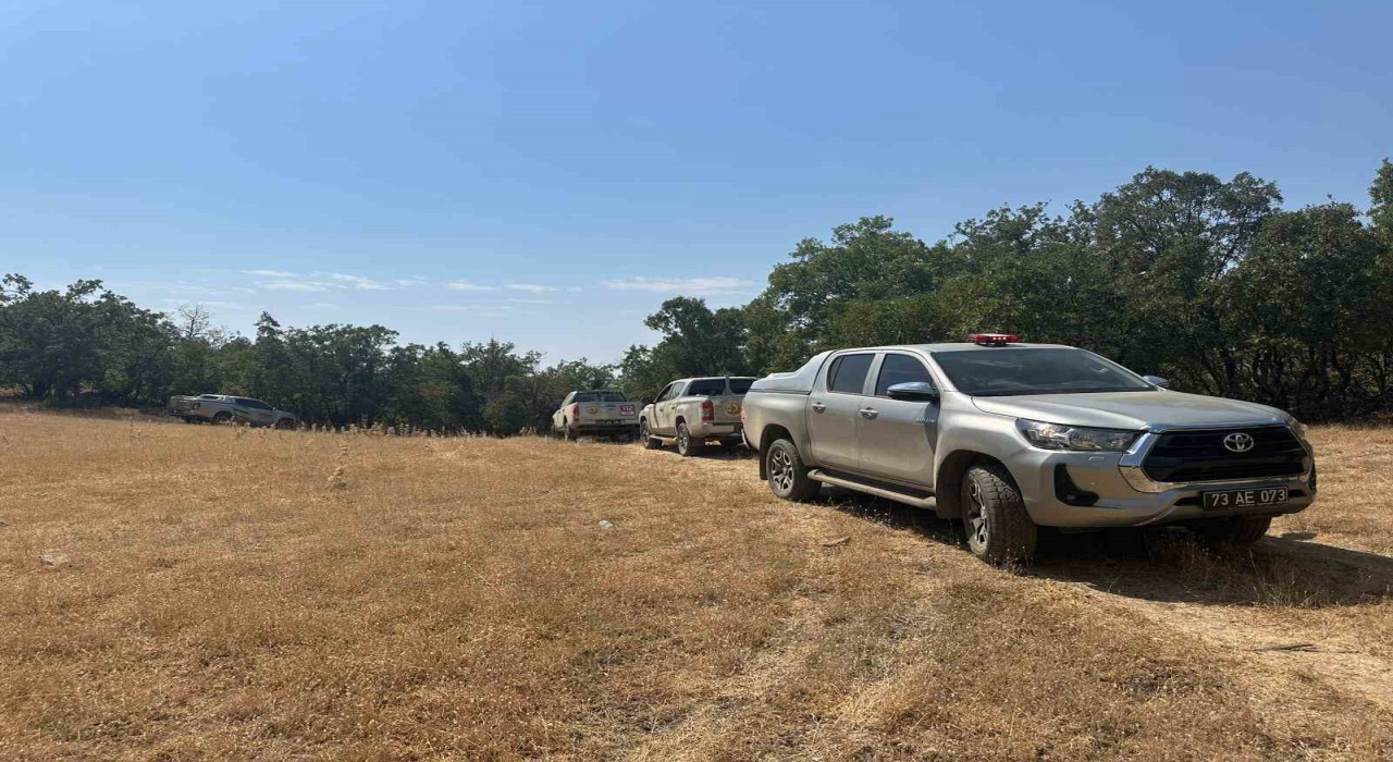 Şırnakta Bestler Dereler bölgesinde orman yangını: Ekipler seferber oldu