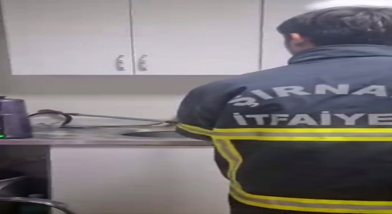 Şırnakta iş yerinde yılan paniği