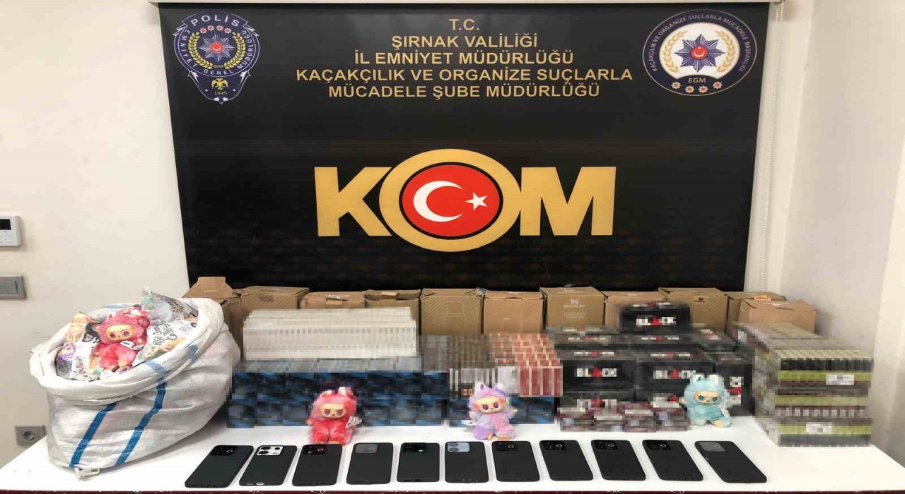 Şırnakta narkotik ve kaçakçılık operasyonunda 2 tutuklama