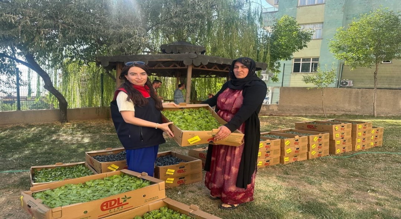 Şırnakta TAKE Projesi kapsamında üreticilere fide ve tohum desteği