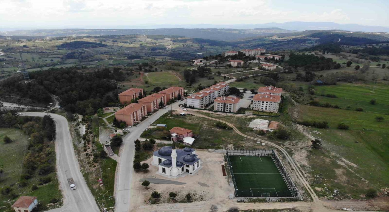 Site sakinlerine yavru ayı uyarısı