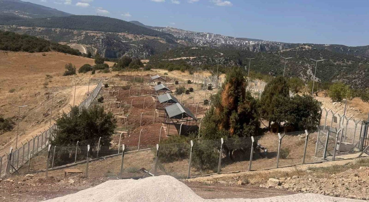 Sokak Hayvanları Doğal Yaşam Alanını ruhsatsız çıktı