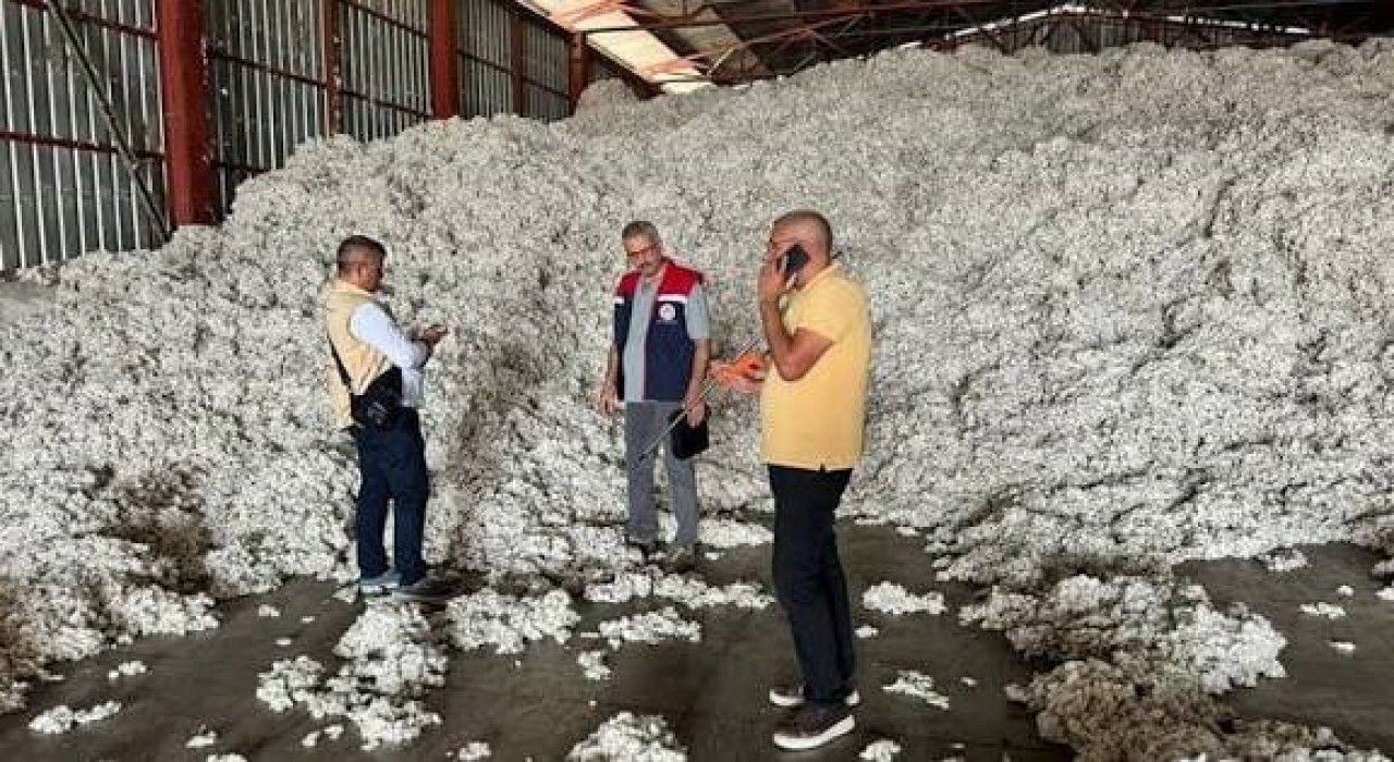 Sökede Kütlü Pamuklarda Kaliteyi Koruma Komisyonu yeni sezon çalışmalarına başladı