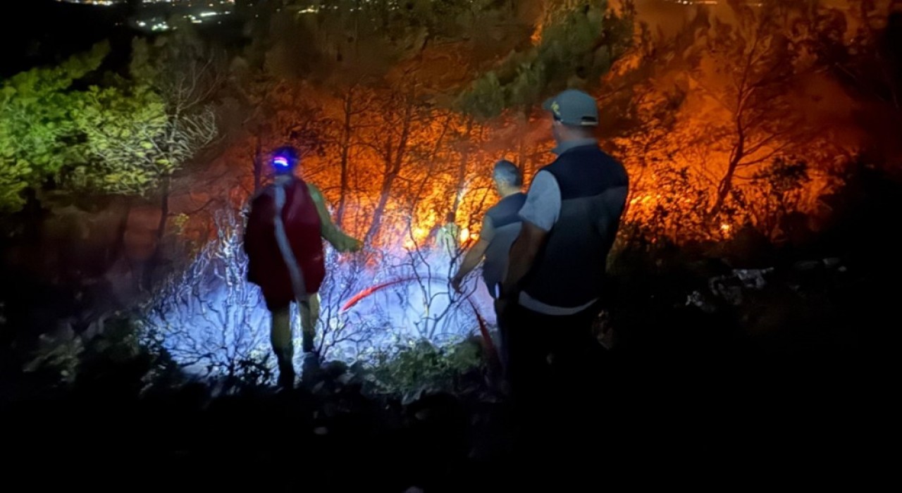 Sökedeki orman yangınının yayılması durduruldu