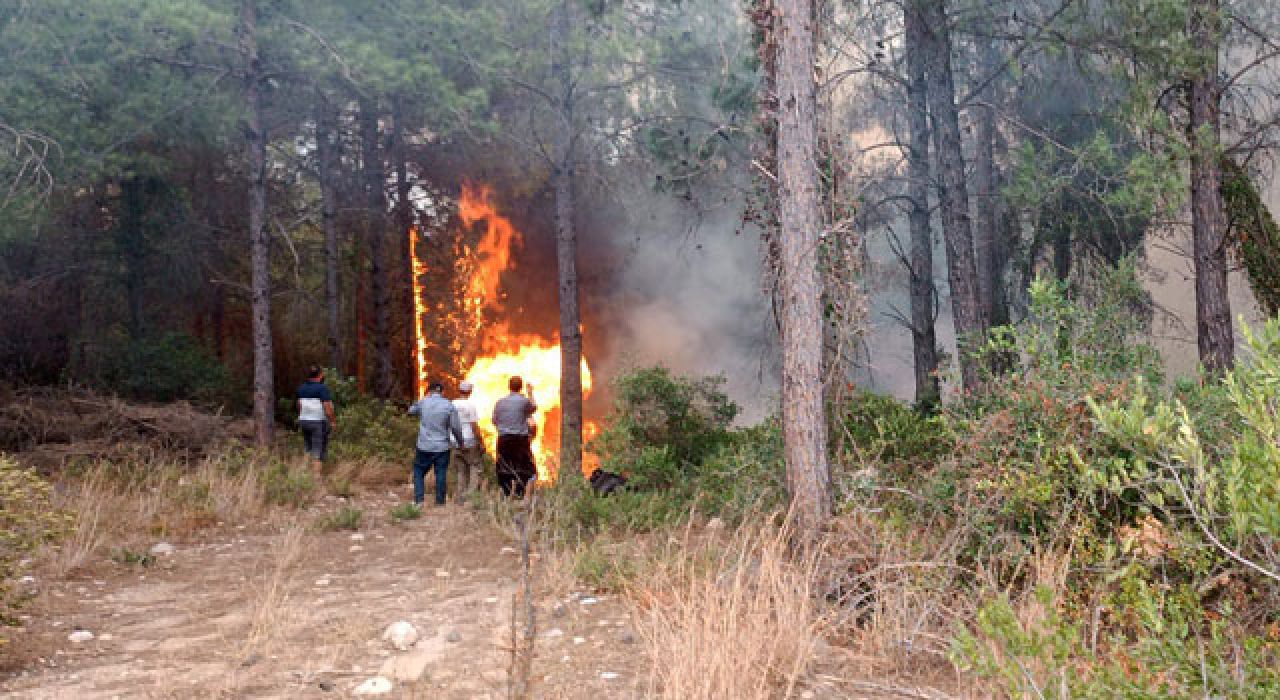 Sumbas İlçesinde Orman Yangını: Ekipler Karadan ve Havadan Müdahale Ediyor