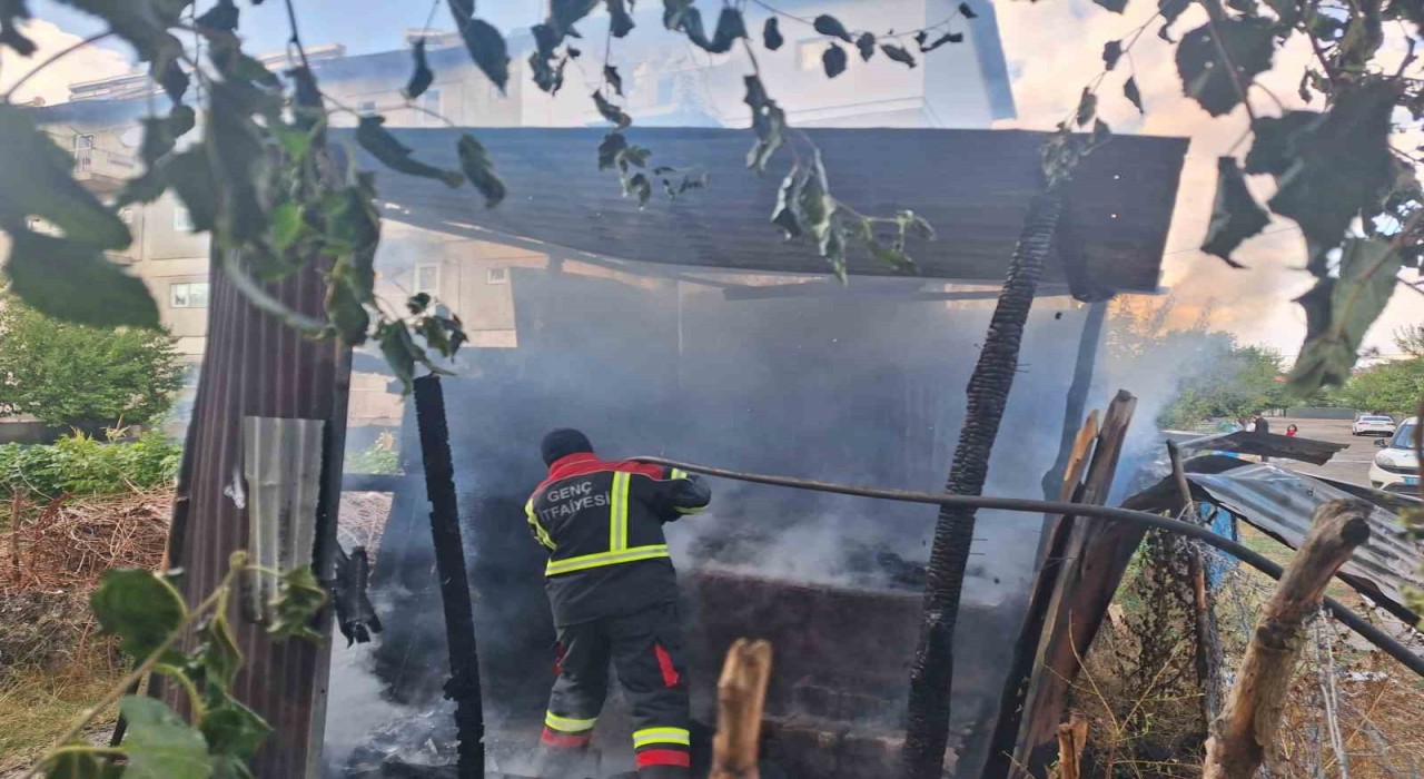 Tandırda unutulan köz yangına neden oldu