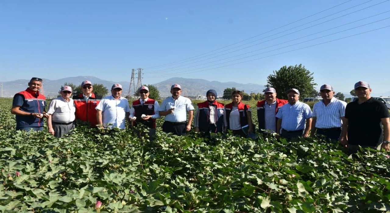 Tarım İl Müdürü Temiz: Pamuk Aydın için stratejik bir ürün