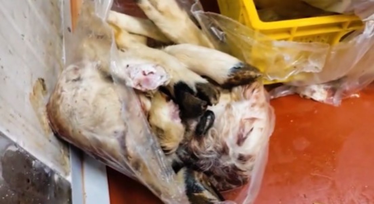 Tarım ve Orman Bakanlığı: Uygunsuzluk tespit edilen bin 316 kilogram ürün imha edildi