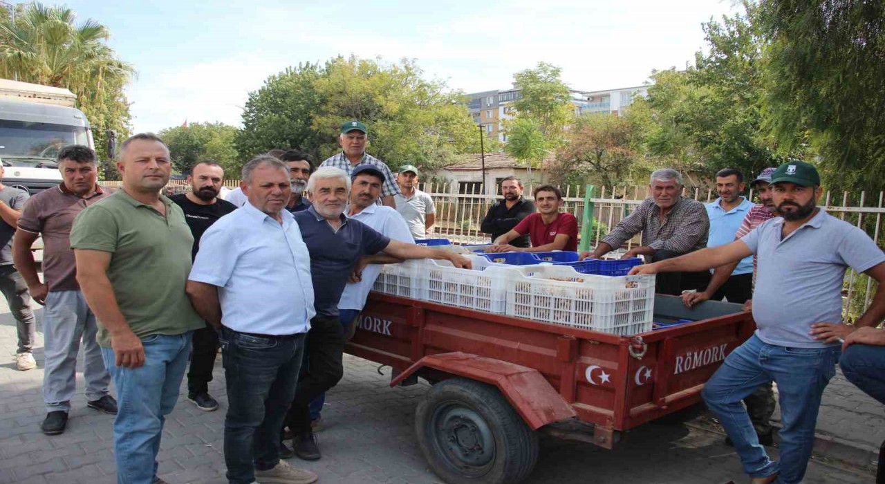 TARİŞ alımları erken kapattı, üretici tüccara tepki gösterdi