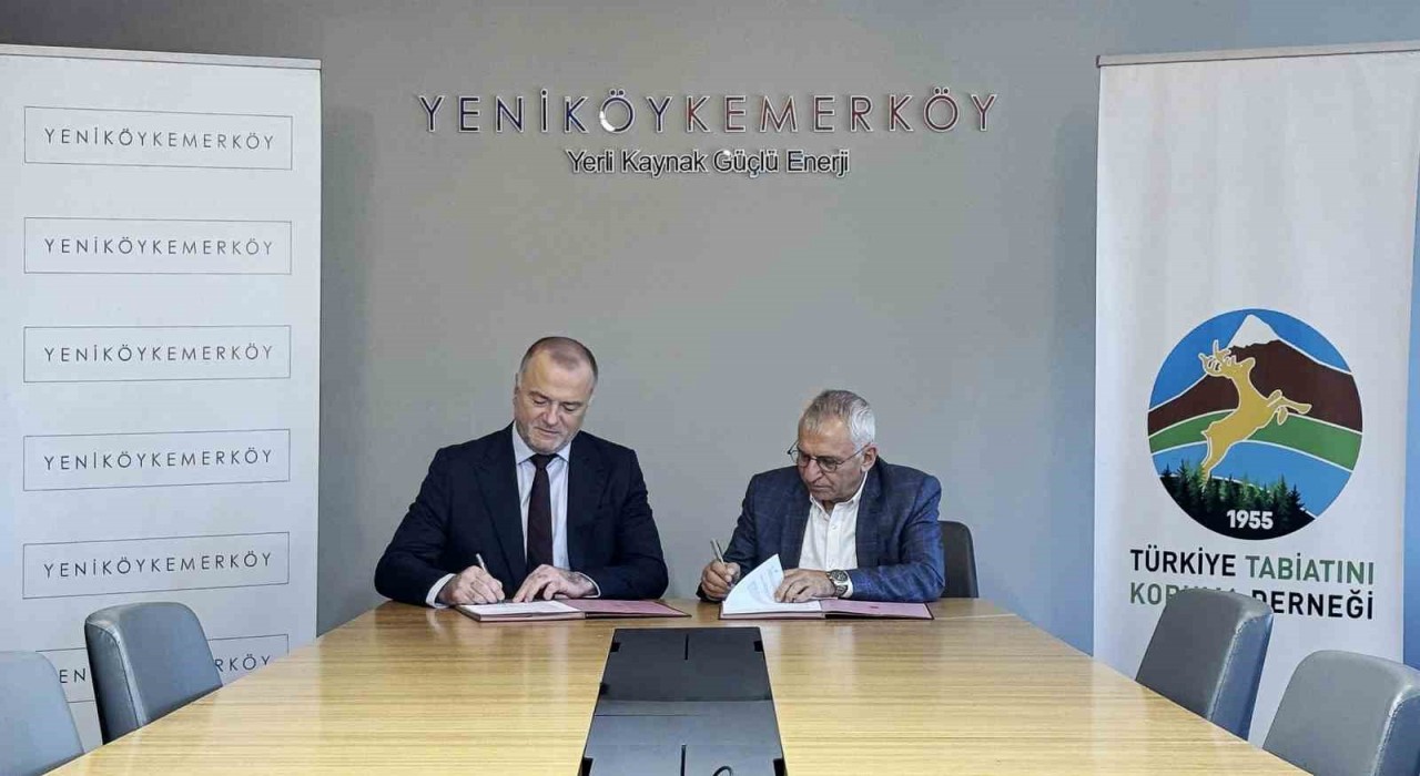 Taşınan zeytin ağaçlarını TTKD izleyecek