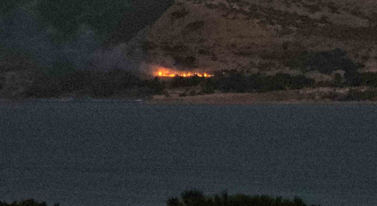 Tatvanda orman yangını