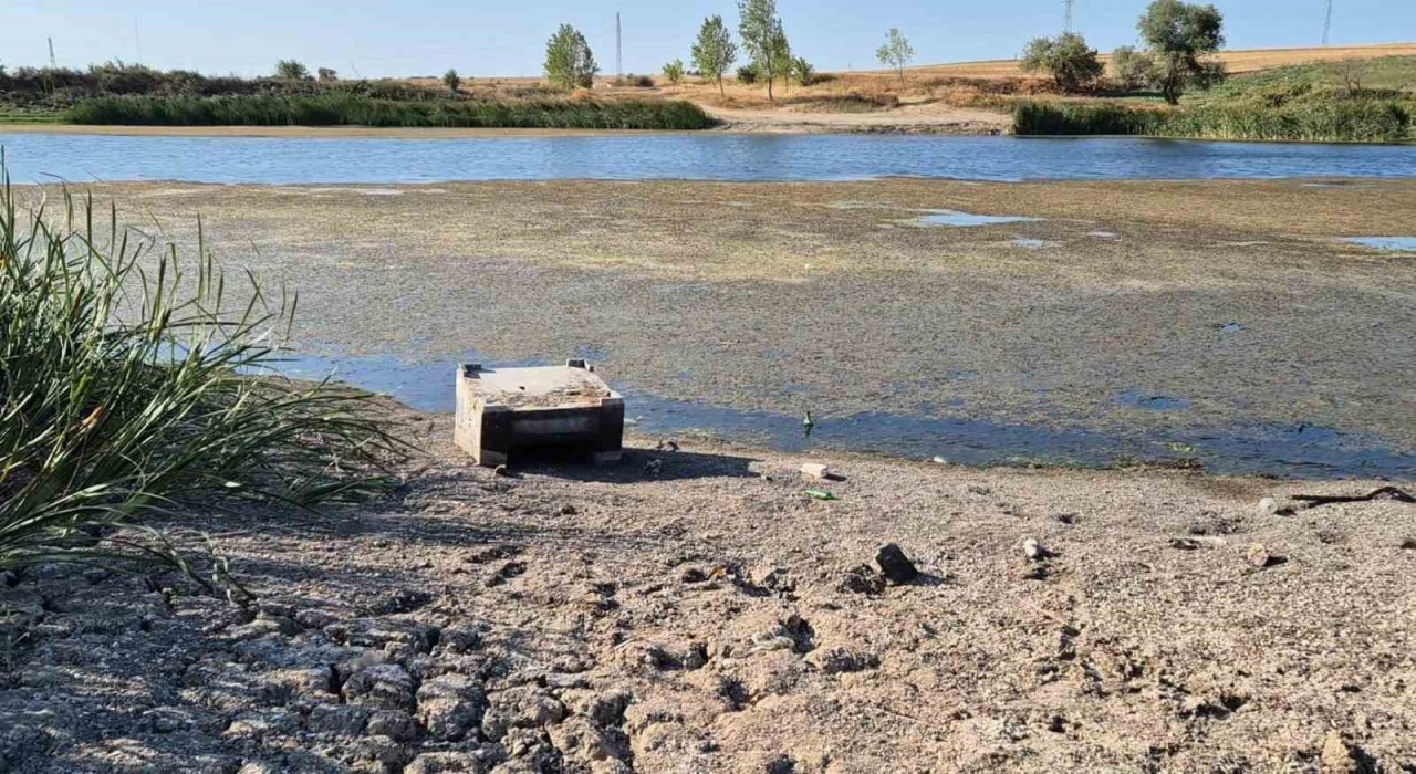 Tekirdağda gölette sular çekildi, çatlaklar oluşmaya başladı
