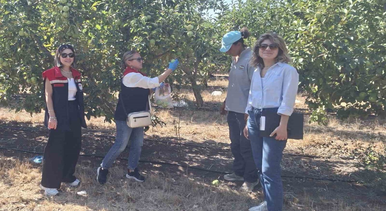 Tekirdağda hasat öncesi pestisit denetimleri yapılıyor