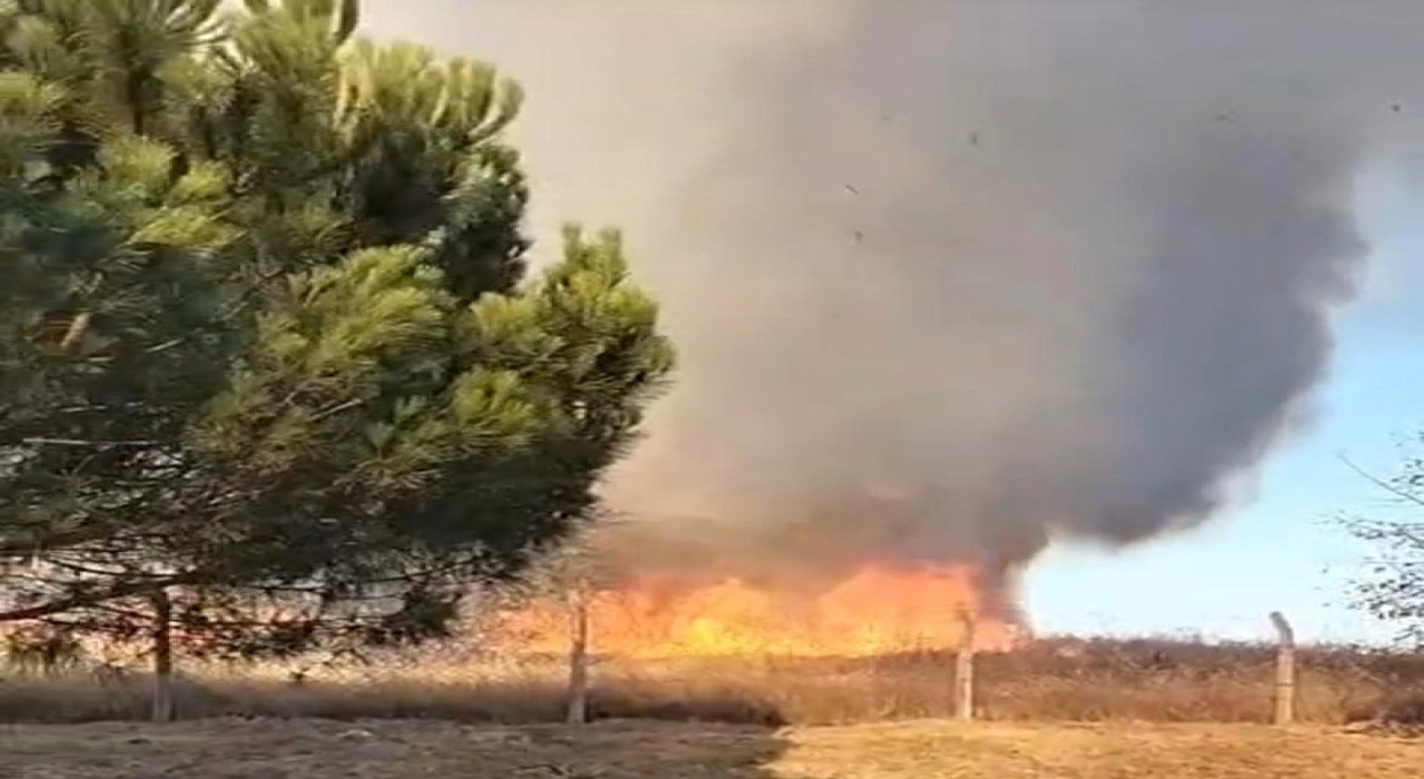 Tekirdağda korkutan yangın