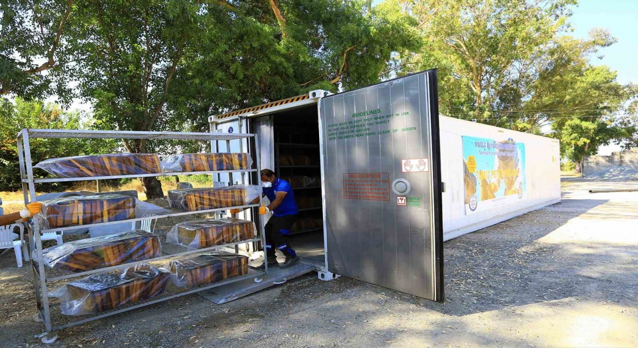 ‘Temiz Petek projesi başladı